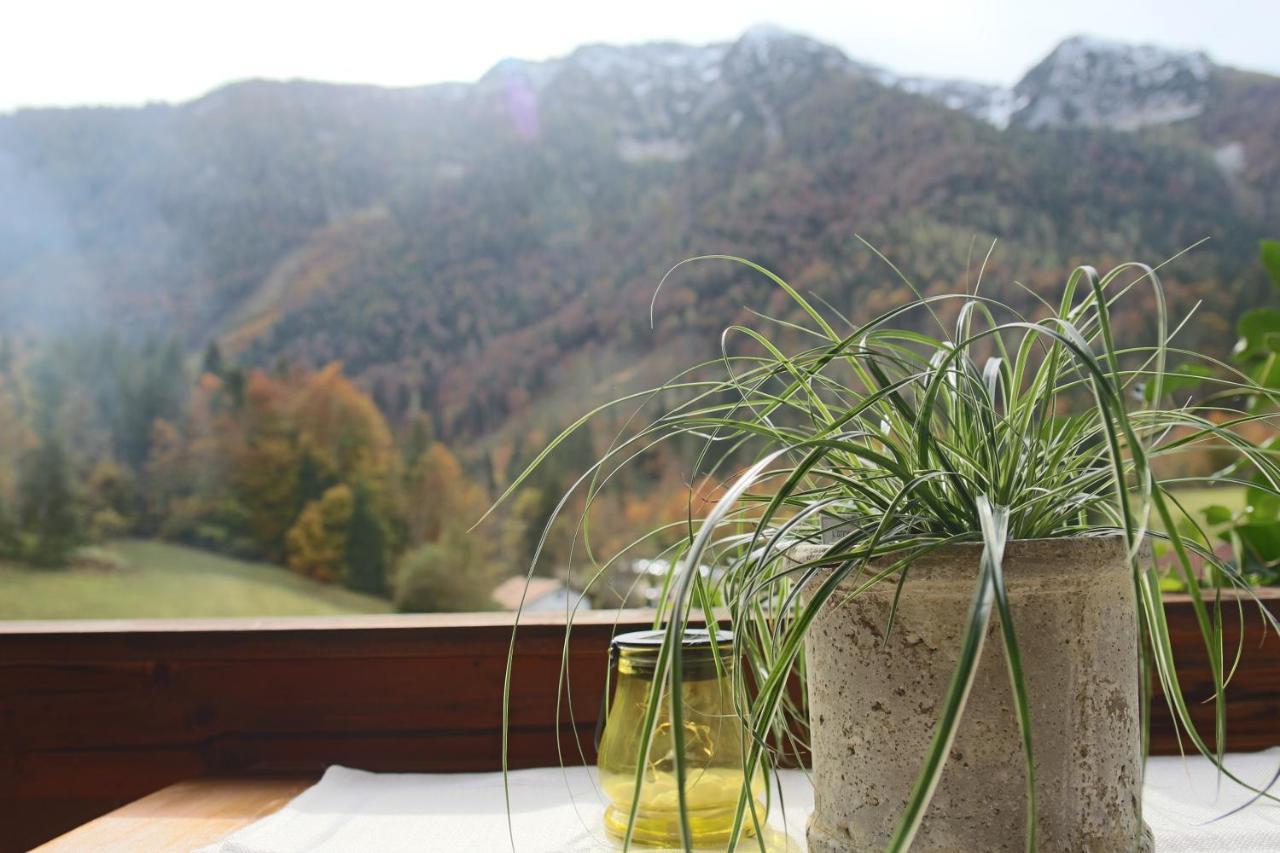 Kienberghof Apartment Inzell Bagian luar foto
